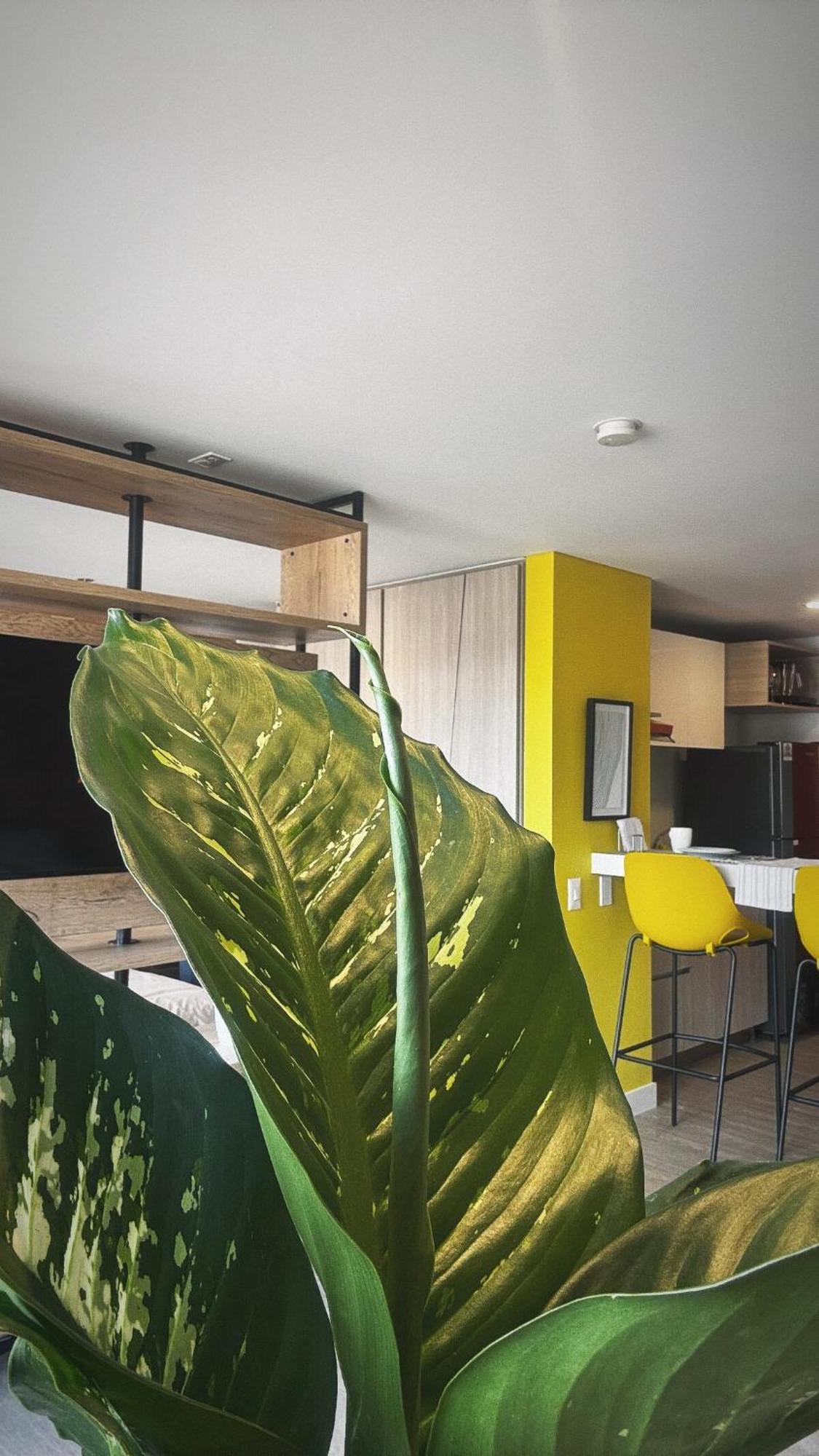 Apartamento With Balcony In Chapinero *